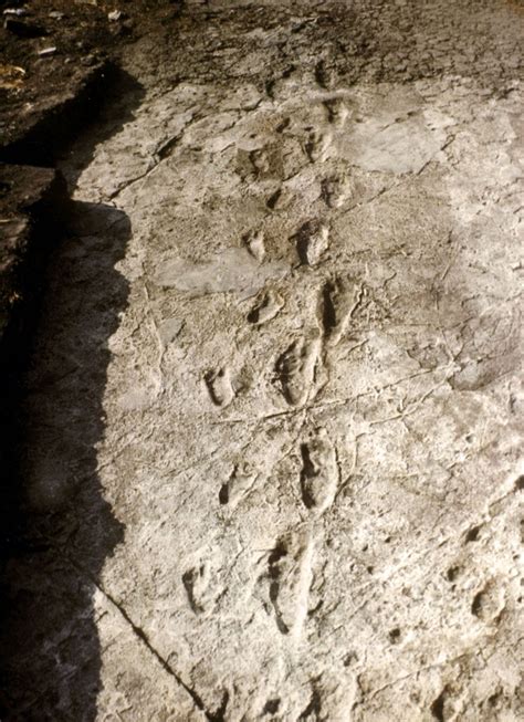 laetoli footprints dating